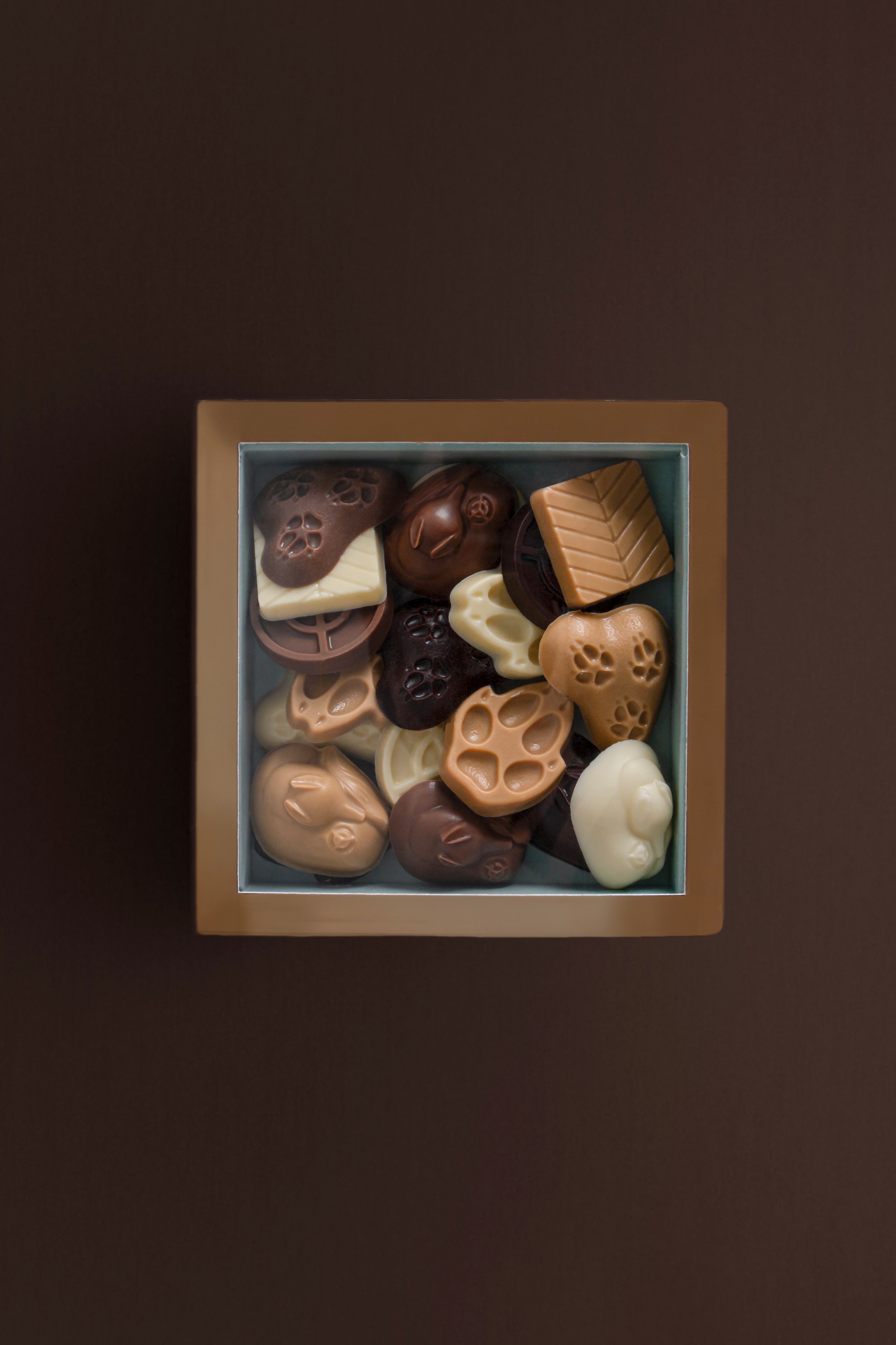 Fritures en chocolat - 100g