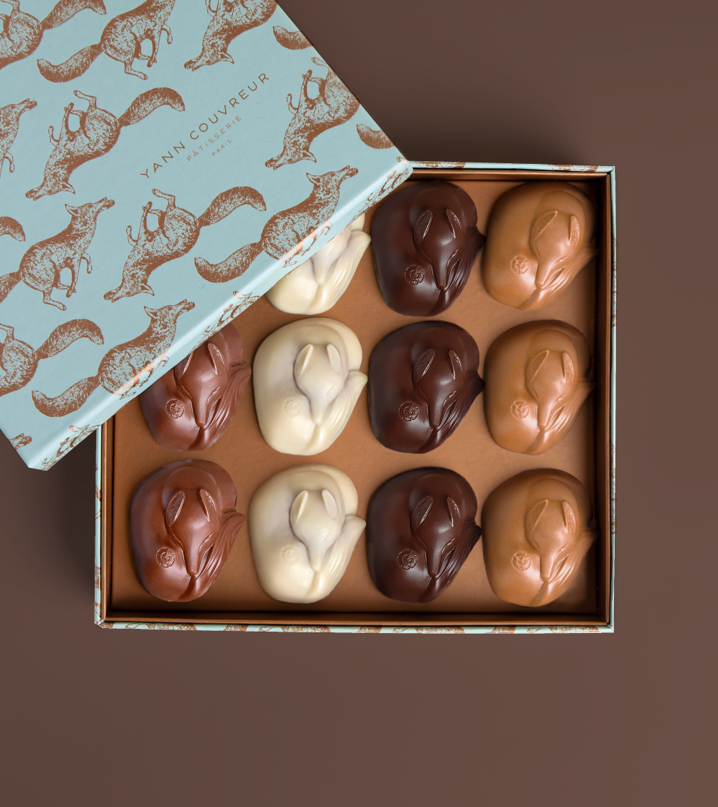 Coffret de 12 terriers