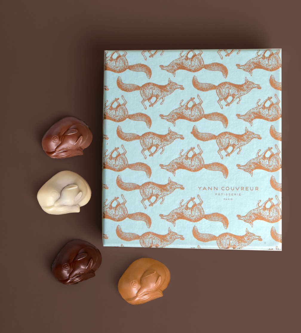 Coffret de 12 terriers