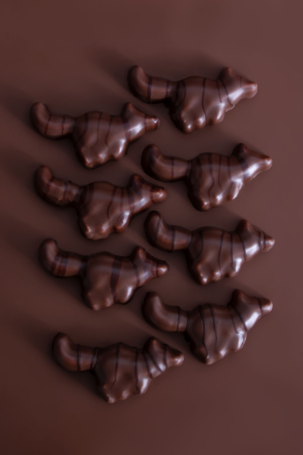 Renards guimauve noisette x5