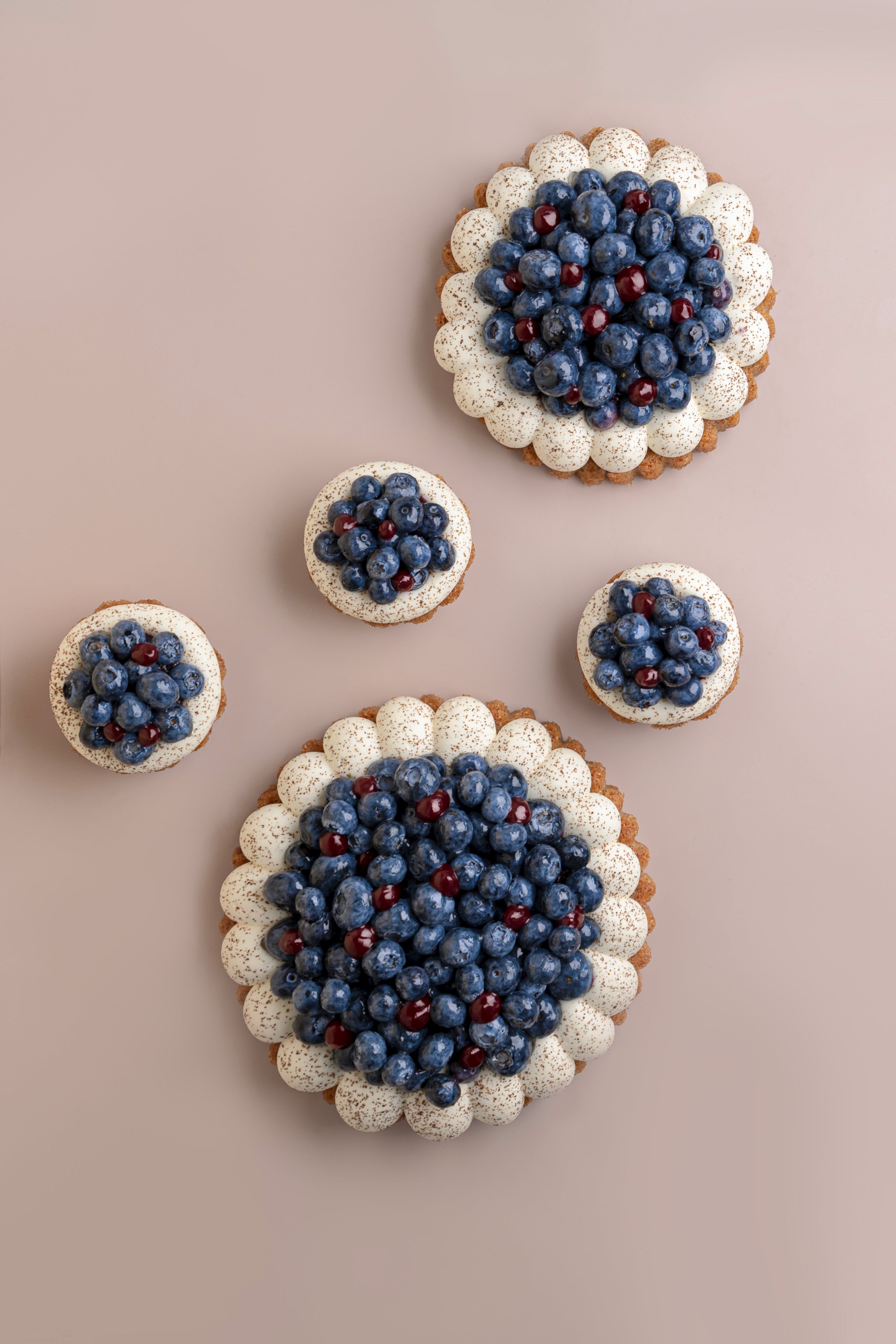 Financier Myrtille