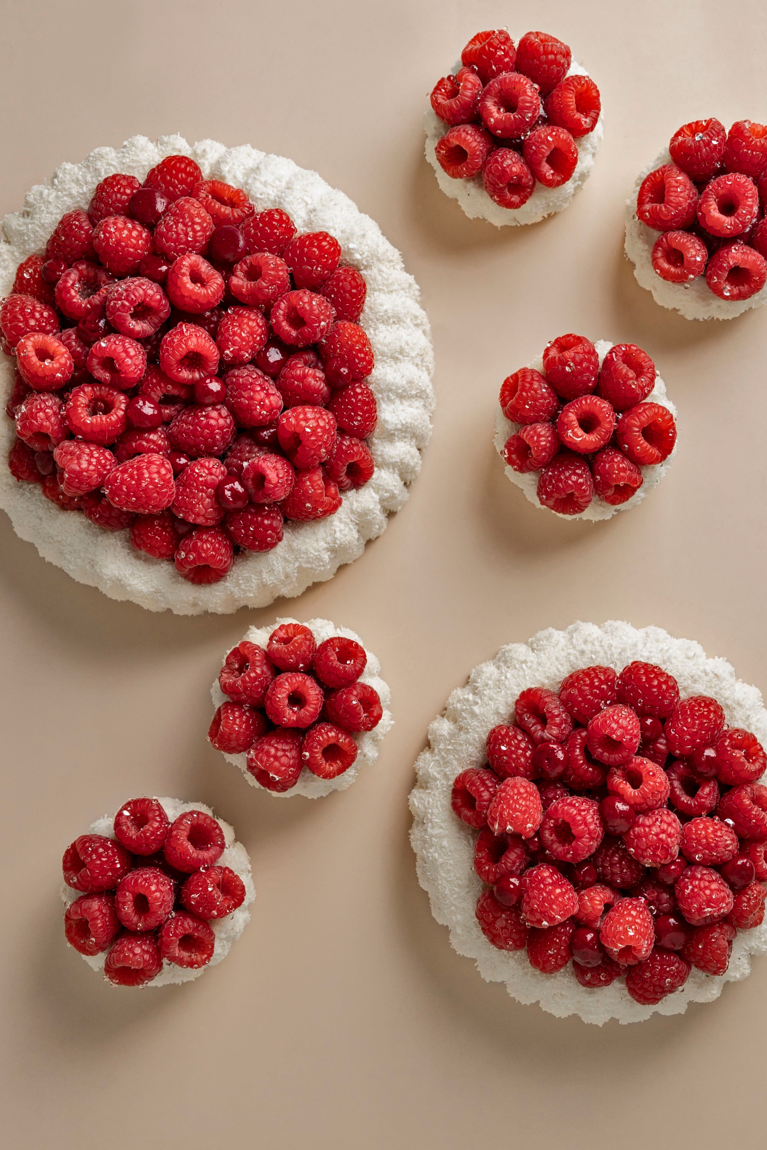 Framboisier rose coco